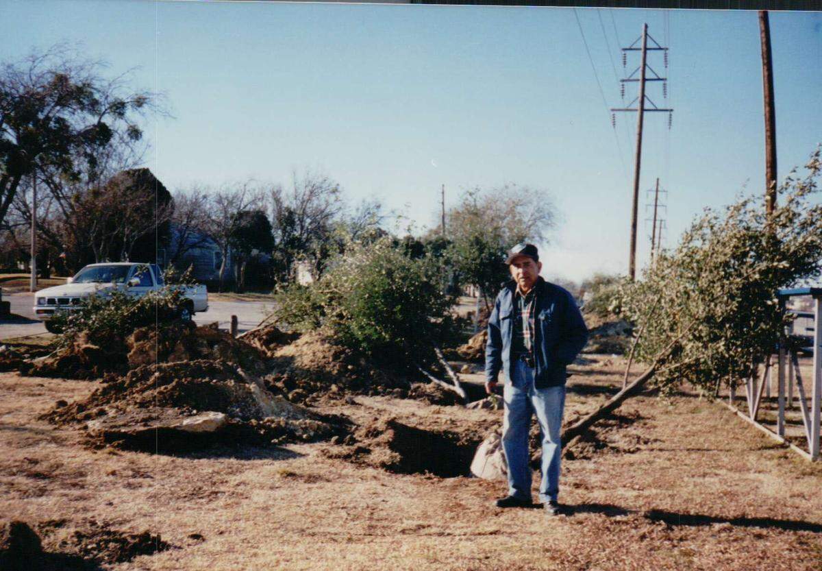 Ciquio Vasquez received a Fort Worth Tree Grant in 2002 for Echo Lake Park, and Tarrant County planted 25 Live Oaks. Ciquio dragged several hundred feet of hoses to water the trees weekly.