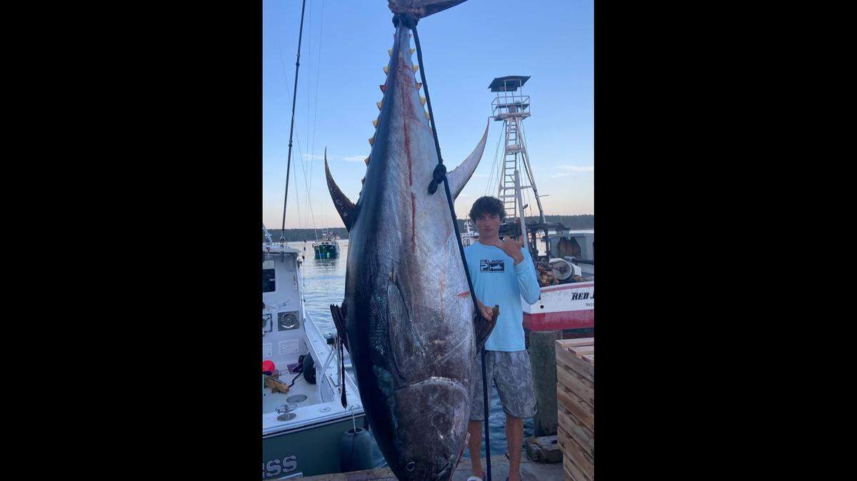 Martin Scanlan, 16, and his friend managed to reel in a 700-pound bluefin tuna off of Portland, Maine earlier this month.