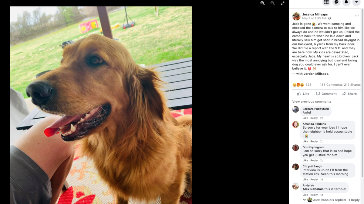 A Texas family says Jack, their 18-month-old golden retriever, was fatally shot in their backyard while they were away camping.