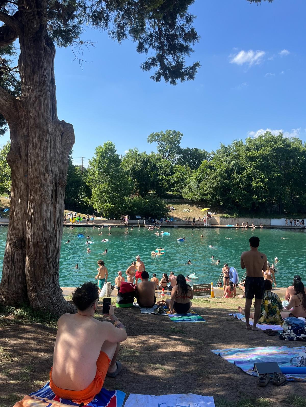 Barton Springs pool in Austin. 