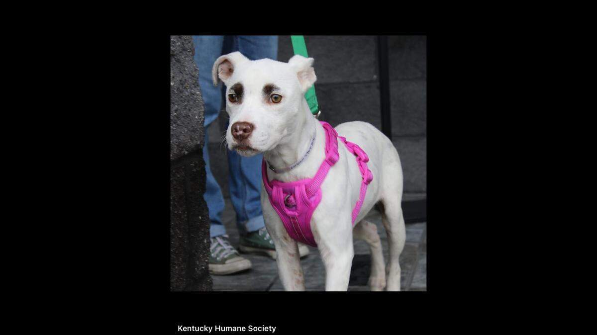 She’s always going to look interested when someone speaks.