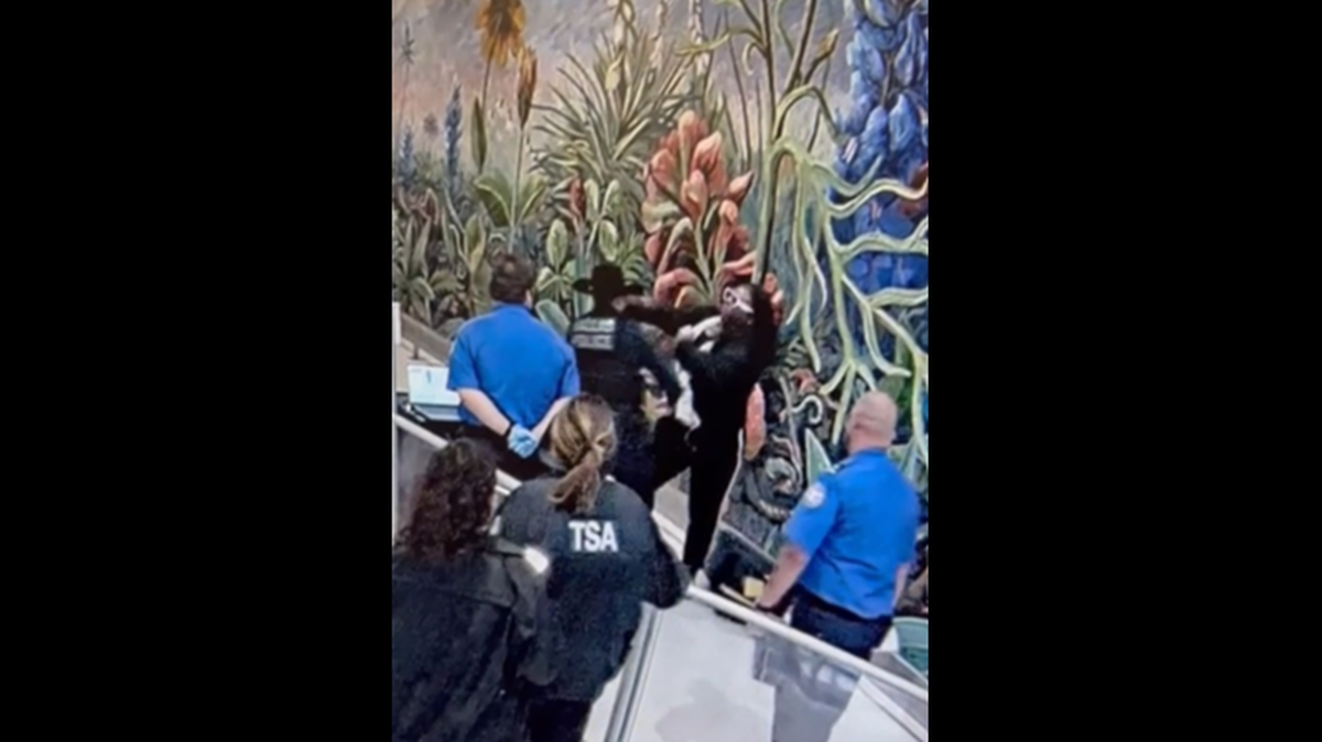 In a still from security footage, a 33-year-old man is seen punching a police officer at Dallas Love Field Airport on Monday March 10, 2026.