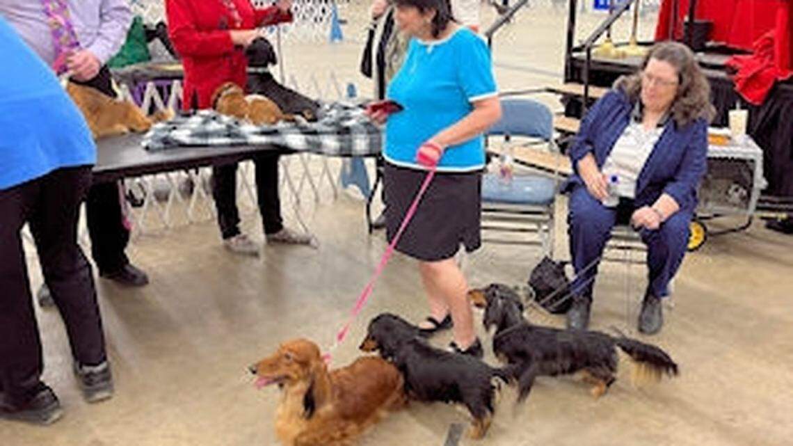 FWKC Meet the Breed event held March 26-27, 2022.