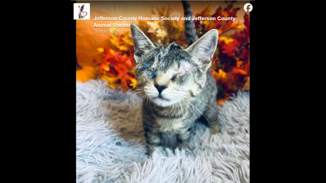 Starlight won’t let her blindness define her.