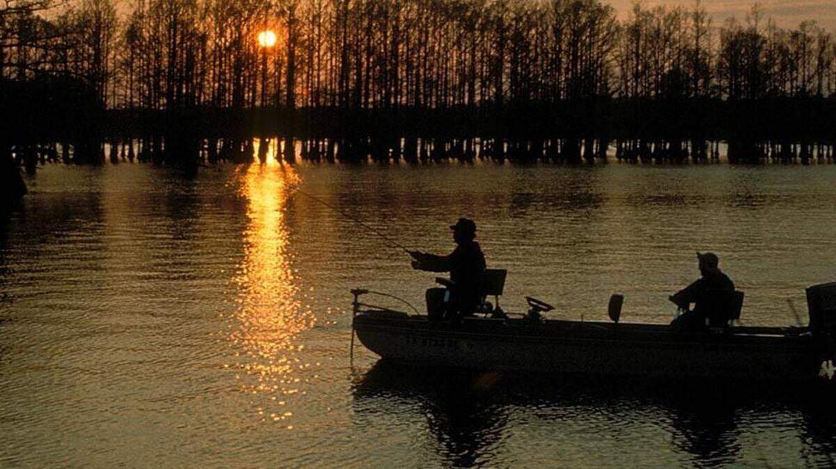 Lawn Love named Illinois one of the best states for fishing in the U.S.