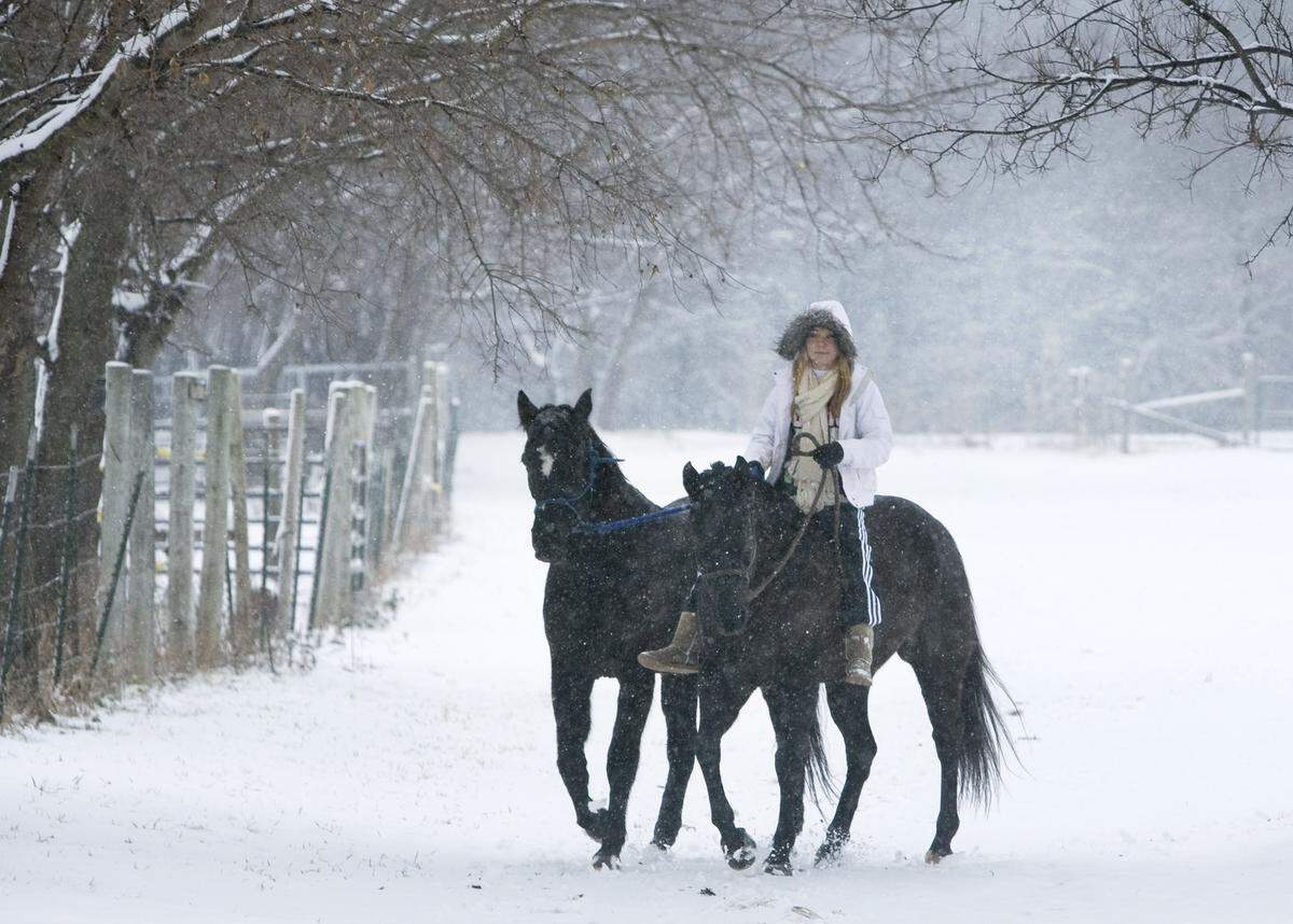 Alex Thomson, 15, rides Matrix and leads Cruella back to the barn during the snow fall on Thursday, February 11, 2010 at Benbrook Stables. She is a student at SW Christian School but took a snow day off to help her mother at the stable.