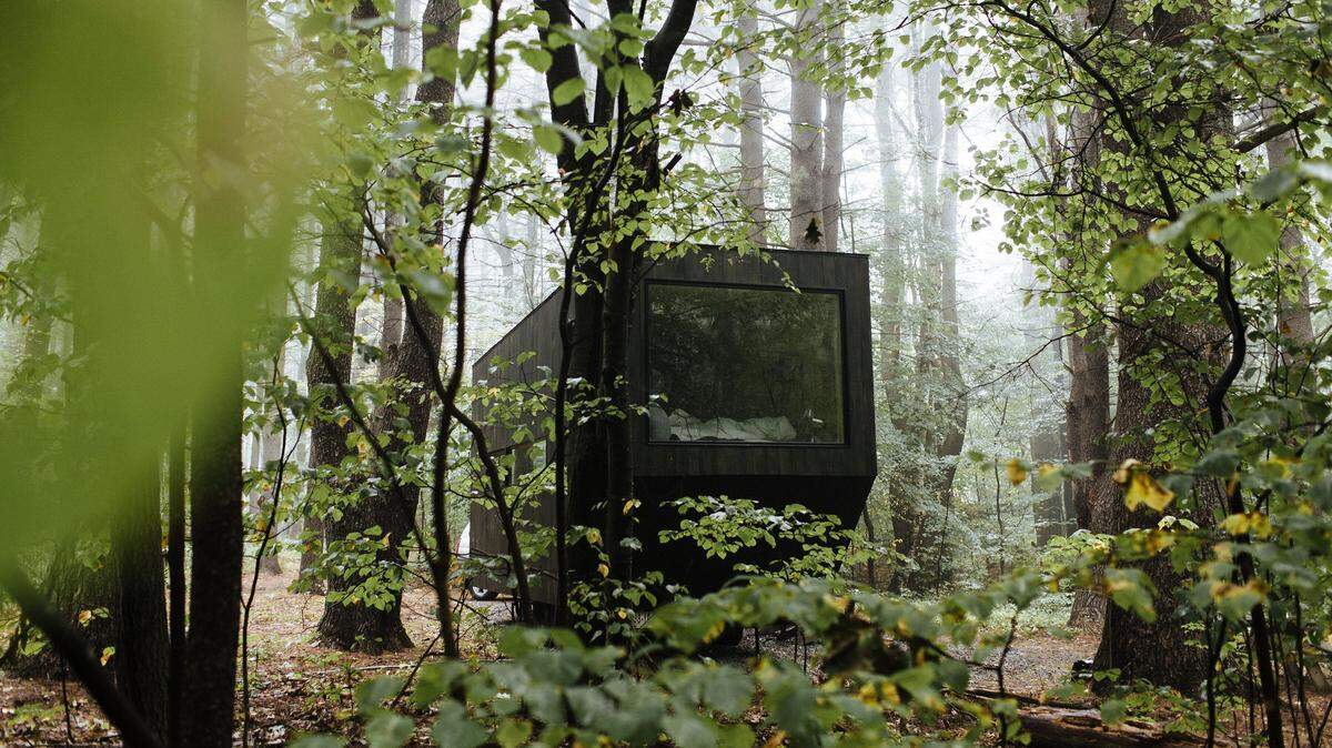 The cabins at Getaway have camp grounds around them.