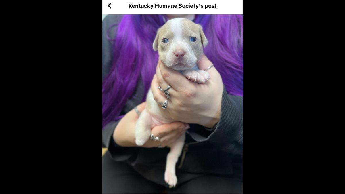 Cute little Peggy getting love.