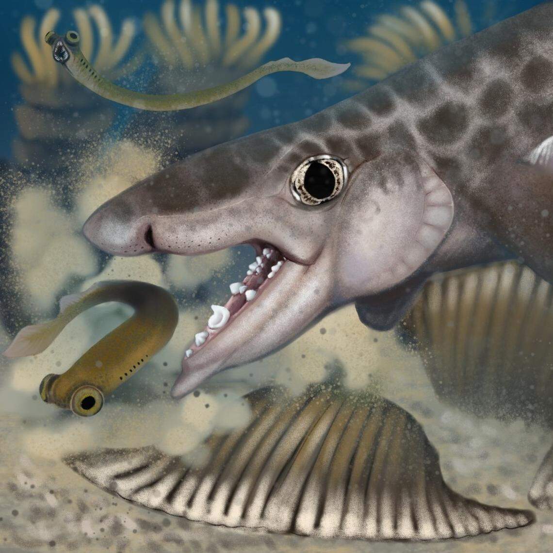 A “proposed reconstruction” of what the shark would have looked like.