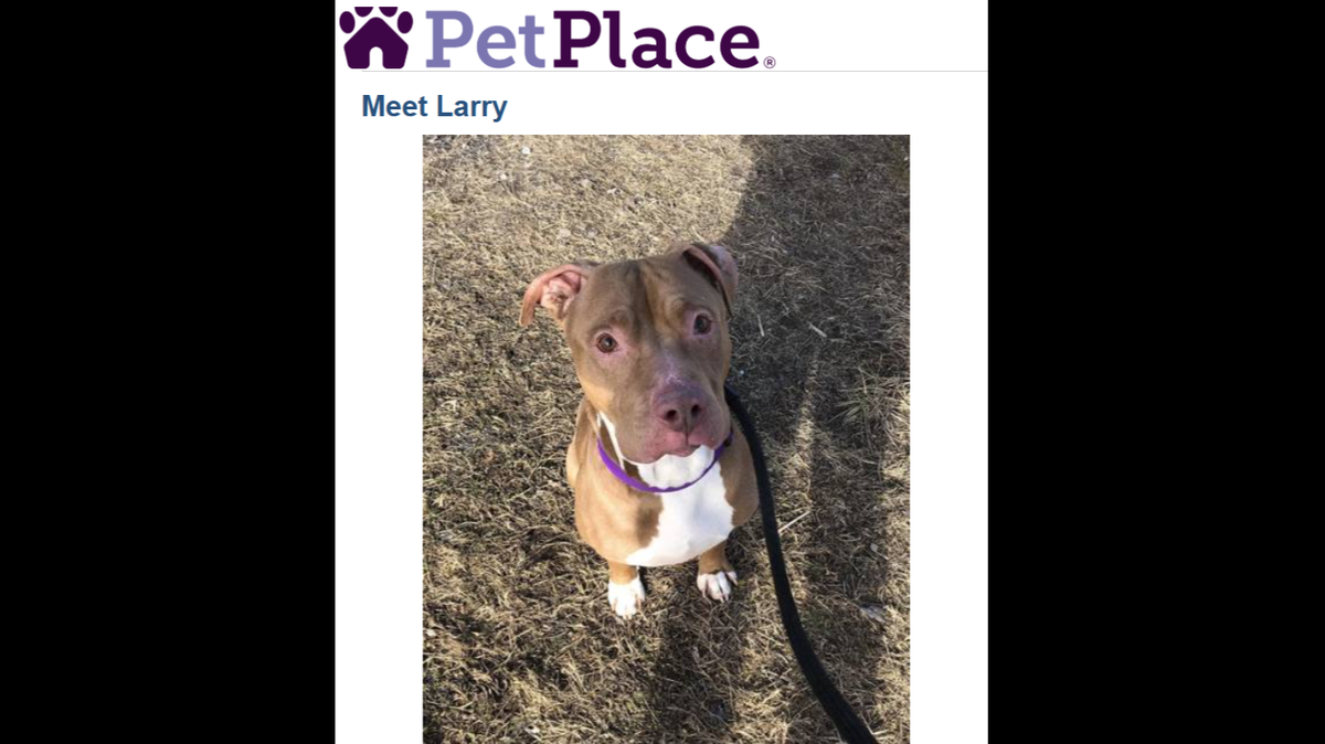 Larry, sitting pretty for the camera.