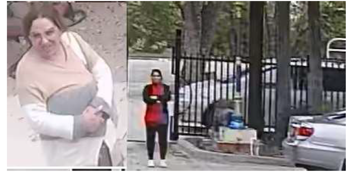 A group of people are believed to have been involved in theft from a Buddhist temple in White Settlement, police say