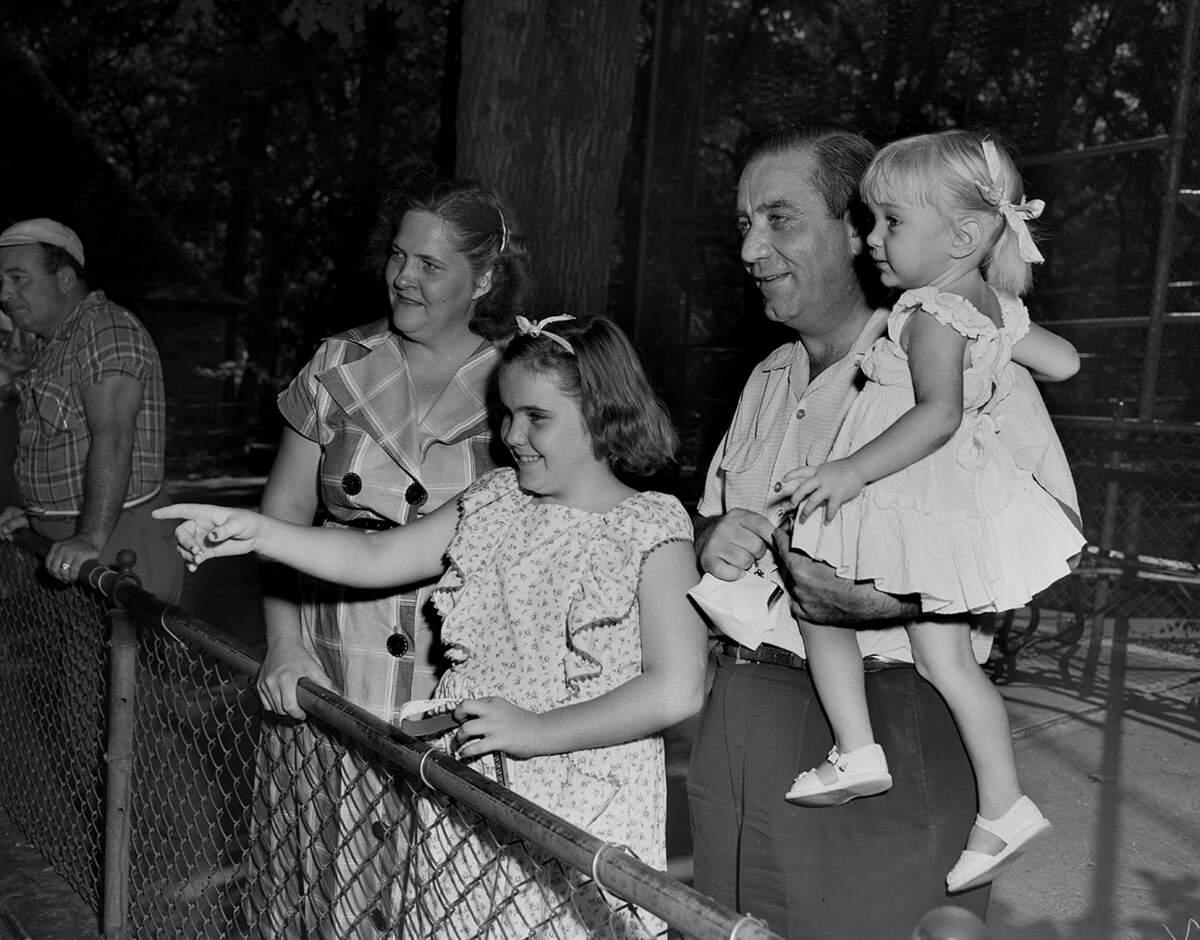 Sept. 1, 1952: Mr. and Mrs. Jack Durham and their daughters, Jackie, 9, and Jeanie, 2, watching chimpanzees at the zoo.