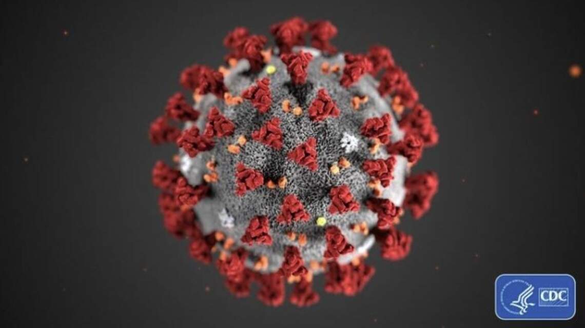A Charlotte CEO’s story: ‘Congratulations, you have the Coronavirus, call asap’