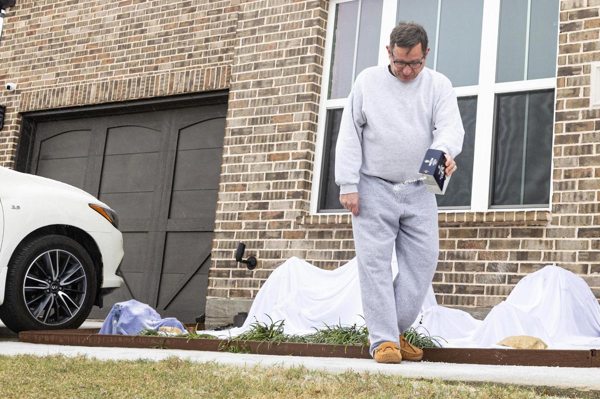 Jim Harvey sprinkles salt on his driveway and front yard to prevent snow accumulation in Fort Worth on Thursday, Jan. 9, 2025. A winter storm is expected to bring multiple inches of snow to the Dallas-Fort Worth metroplex for the next two days.