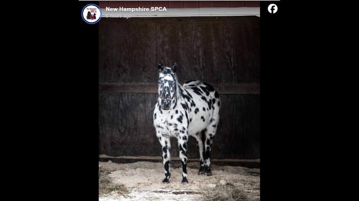 It’s clear that the camera is in love with Zoey.