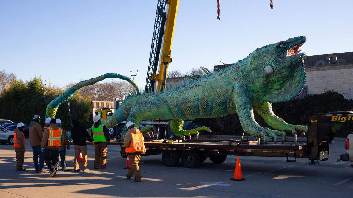 The Fort Worth Zoo’s iguana sculpture, nicknamed “Iggy,” will undergo repairs and return later this spring, zoo officials said.