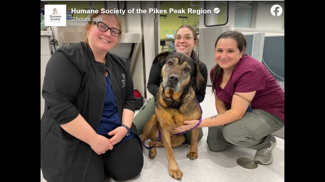 Thelma and the shelter staff.