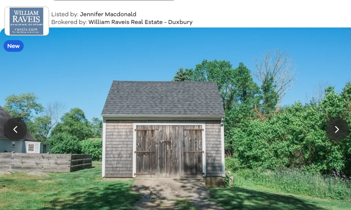 Back shed