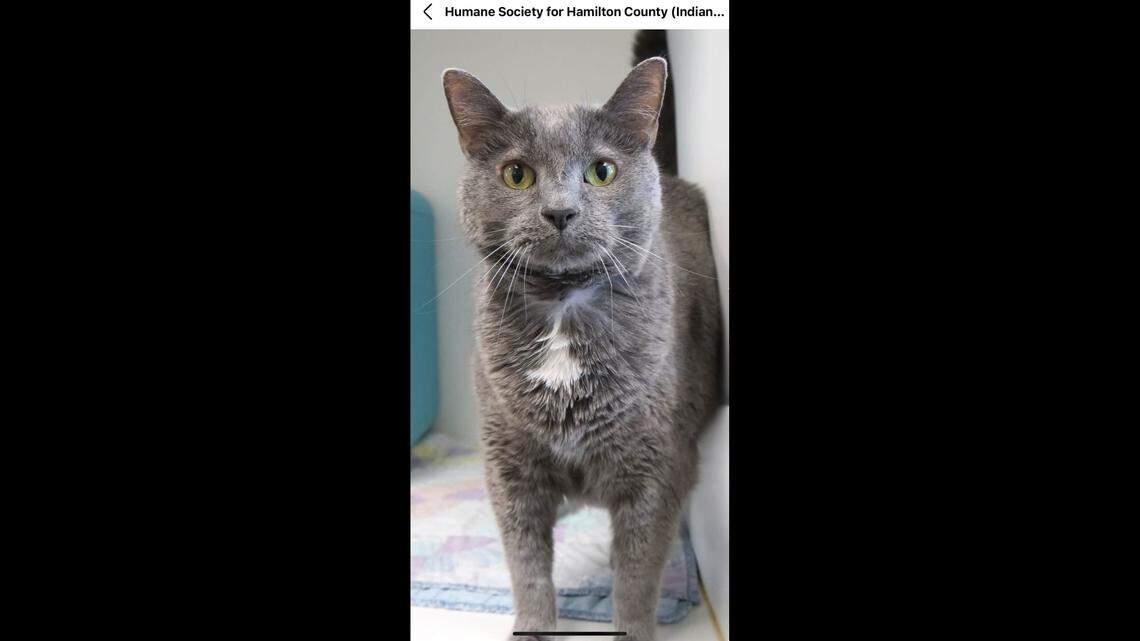 Leo is now feeling much better.