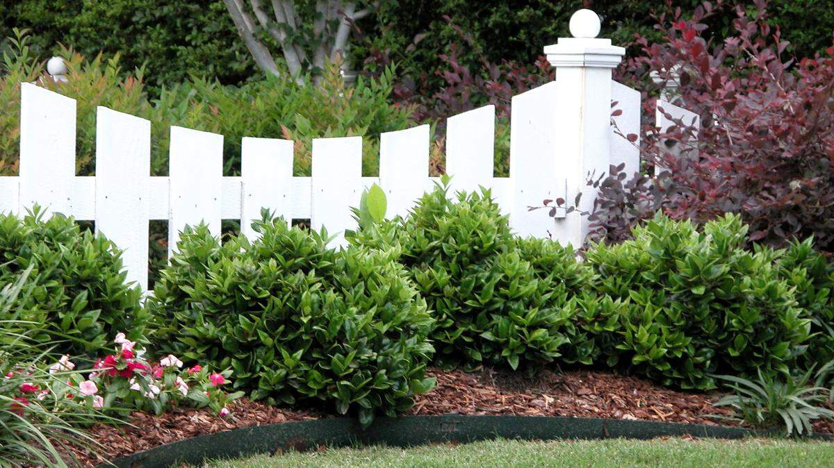 Hand-cut pickets add a decorative touch to this low picket fence.