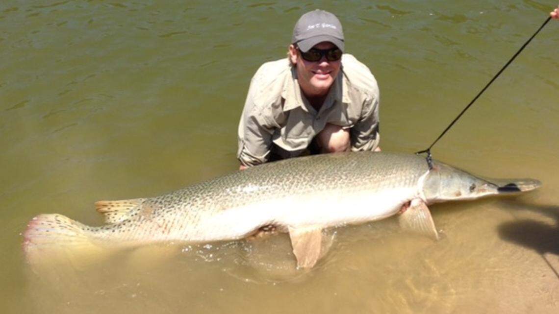 This six-foot alligator gar was caught in 2012 on a rod and reel in the lower Trinity River and then released.  It weighed about 160 pounds.