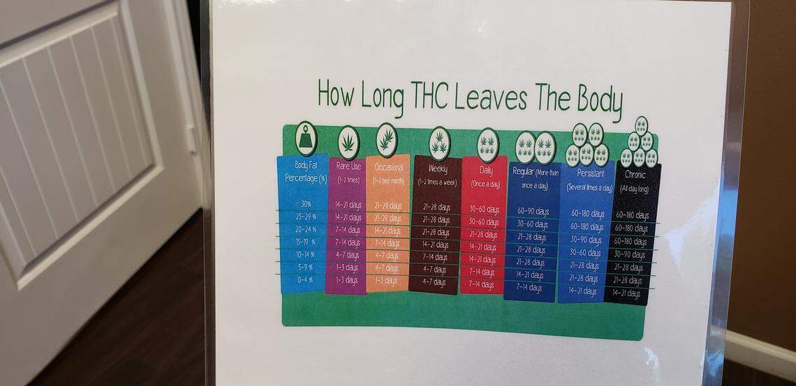Chart that tells how long THC (tetrahydrocannabinol) stays in the body.
