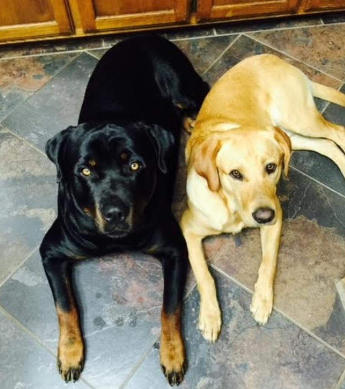 Benny (left) and Butch