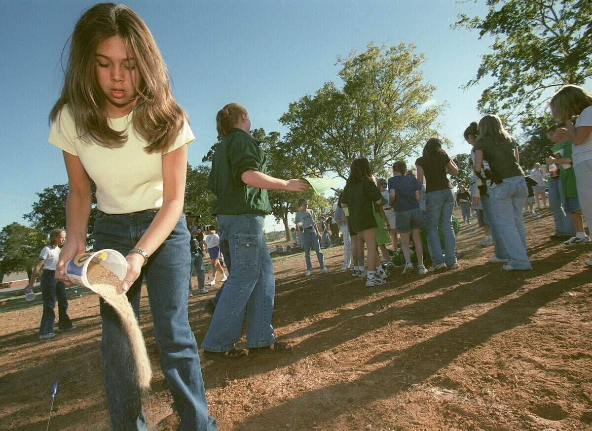 Oct. 22, 1999: Kim Gudino, 12, sprinkles a mixture of sand and bluebonnet seeds at Carroll Junior High in Southlake as part of Habit Keepers, a Keep Southlake Beautiful project.