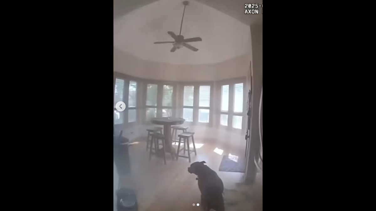 Oakley leading the officer into the kitchen to nab his leash.