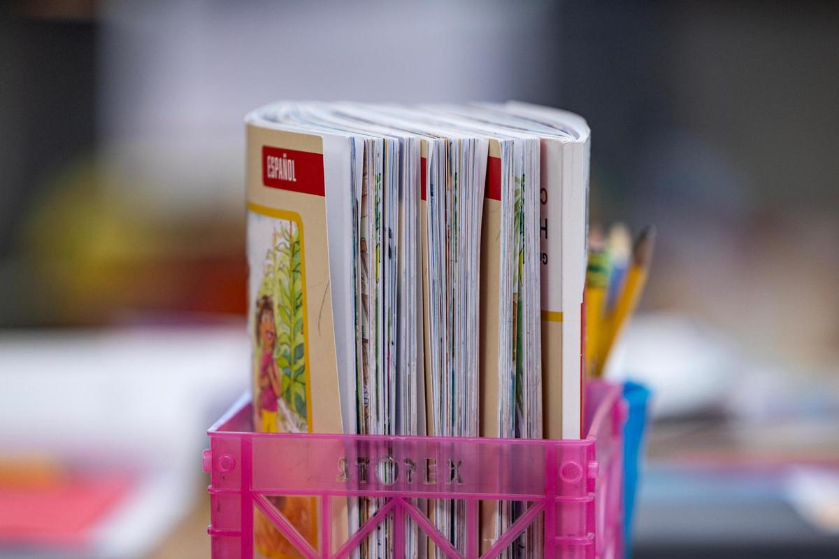 Spanish books in bilingual teacher Miguel Fijó Mezquita’s classroom at Annie Webb Blanton Elementary School in Dallas on Tuesday, Oct. 22.