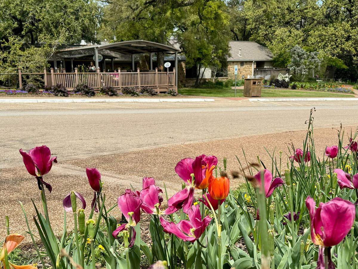 Rock Springs Cafe is in the Fort Worth Botanic Garden, as seen March 20, 2024.