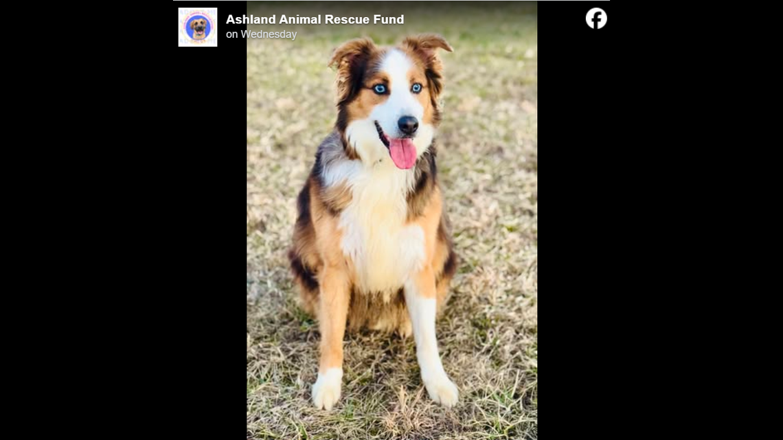 Stormy sitting pretty.