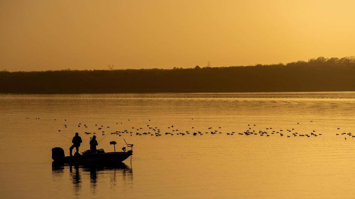 Coots dot Fairfield Lake while people cast their fishing line from a boat during sunset at Fairfield Lake State Park on Feb. 27, 2023.