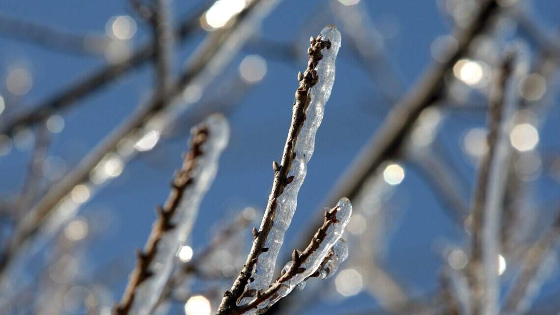 Fort Worth could get half an inch of ice. Why that could be disastrous