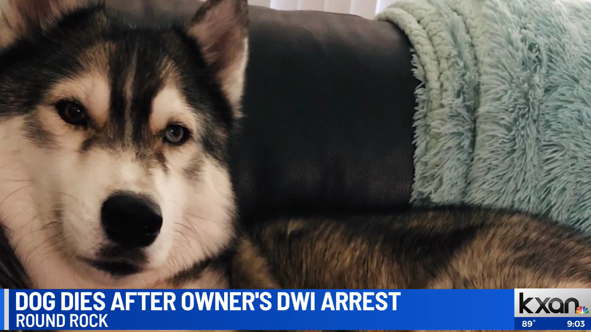 A woman’s dog died in her car after she was arrested on a charge of DWI in Round Rock, Texas, police say.
