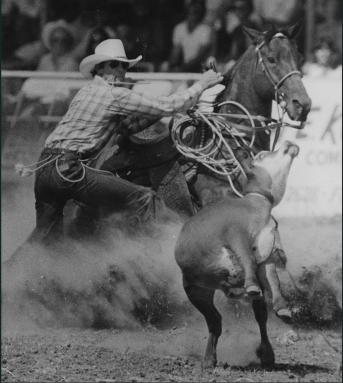 In this file photo, Roy Cooper keeps his eye on the calf while dismounting during a calf roping competition.