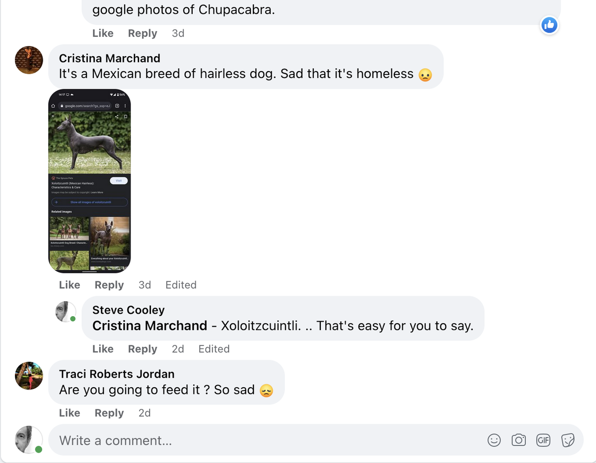 A “chupacabra” was spotted in a Grapevine backyard on June 16.