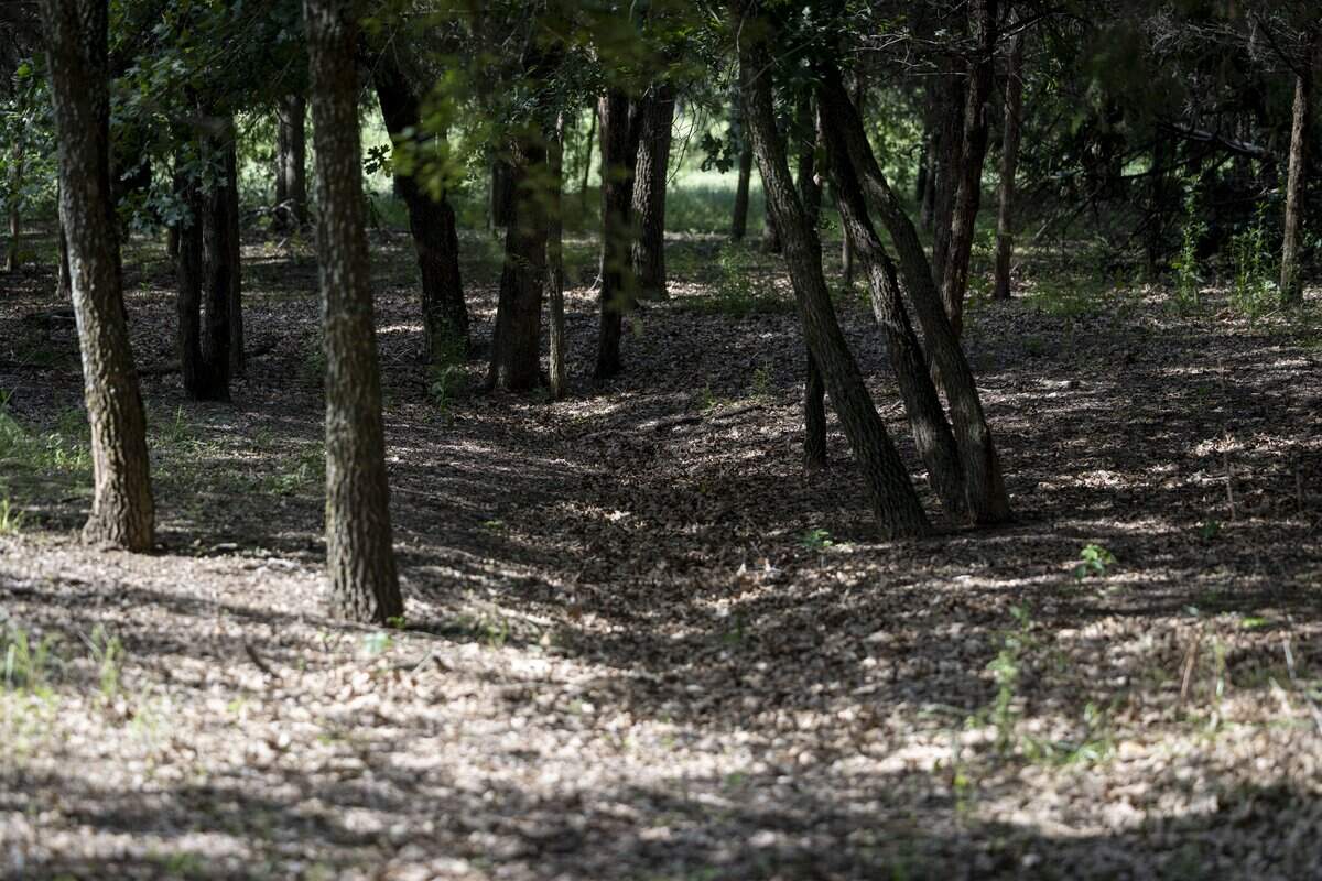 A view of the cemetery shows where erosion is taking place on Saturday, May 9, 2026, in Pilot Point, Texas. The St. John's Cemetery Association hopes to address issues like marking the boundaries of the cemetery with a fence and properly mark the graves of those buried there.