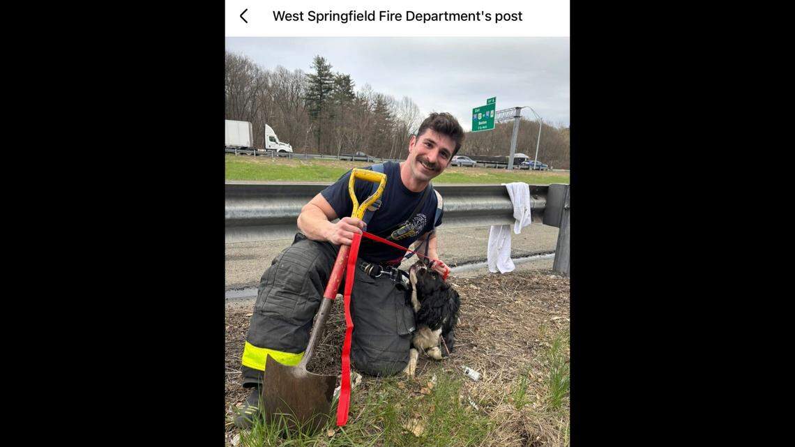 Firefighter poses with Ally after rescuing her