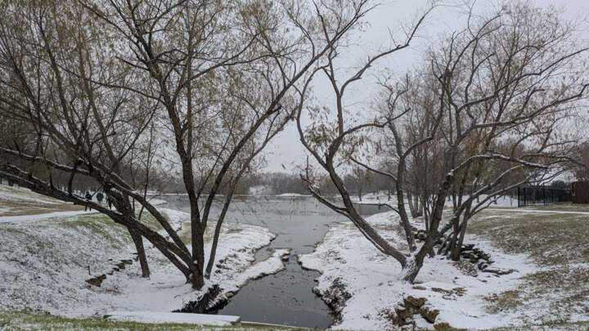 Snow falls on Thursday, Jan. 9, 2024, at Ninnie Baird Park in far north Fort Worth. A winter storm had dumped a little more than an inch by 11 a.m. in northern Tarrant County.