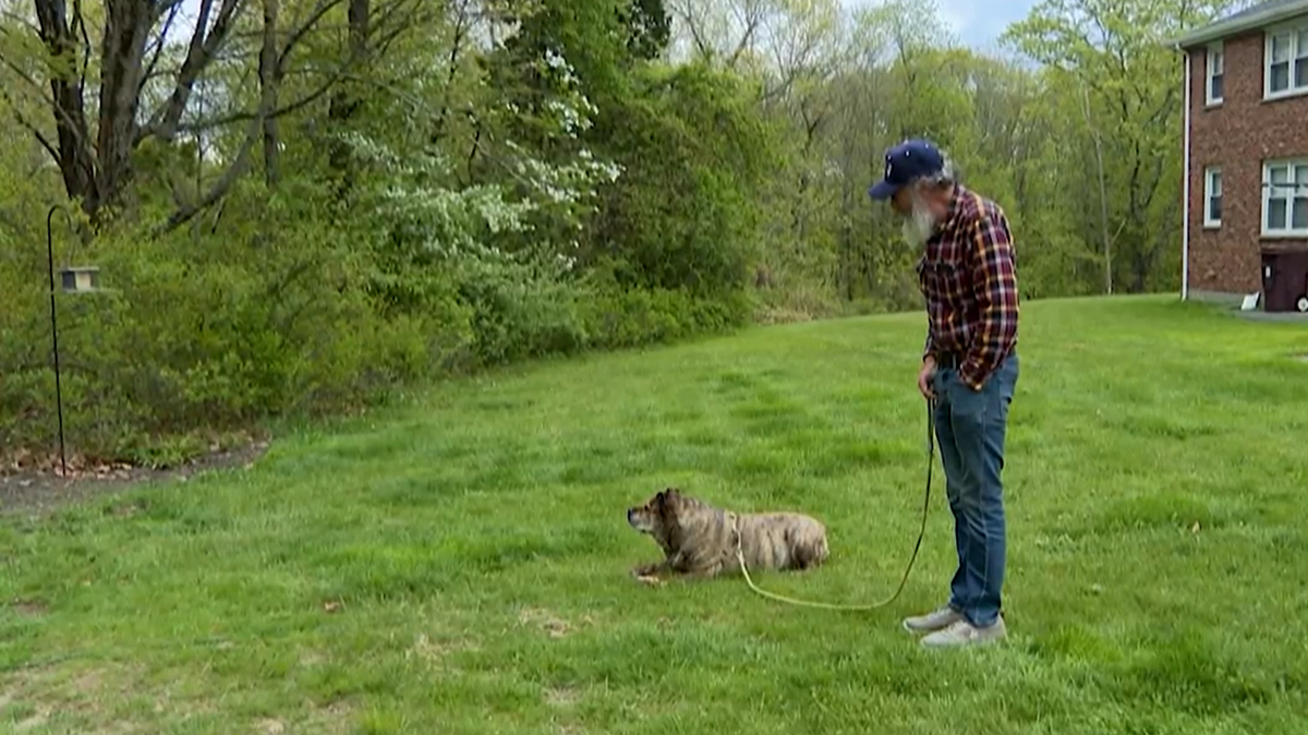 David Fine spends time with his beloved dog Babs.