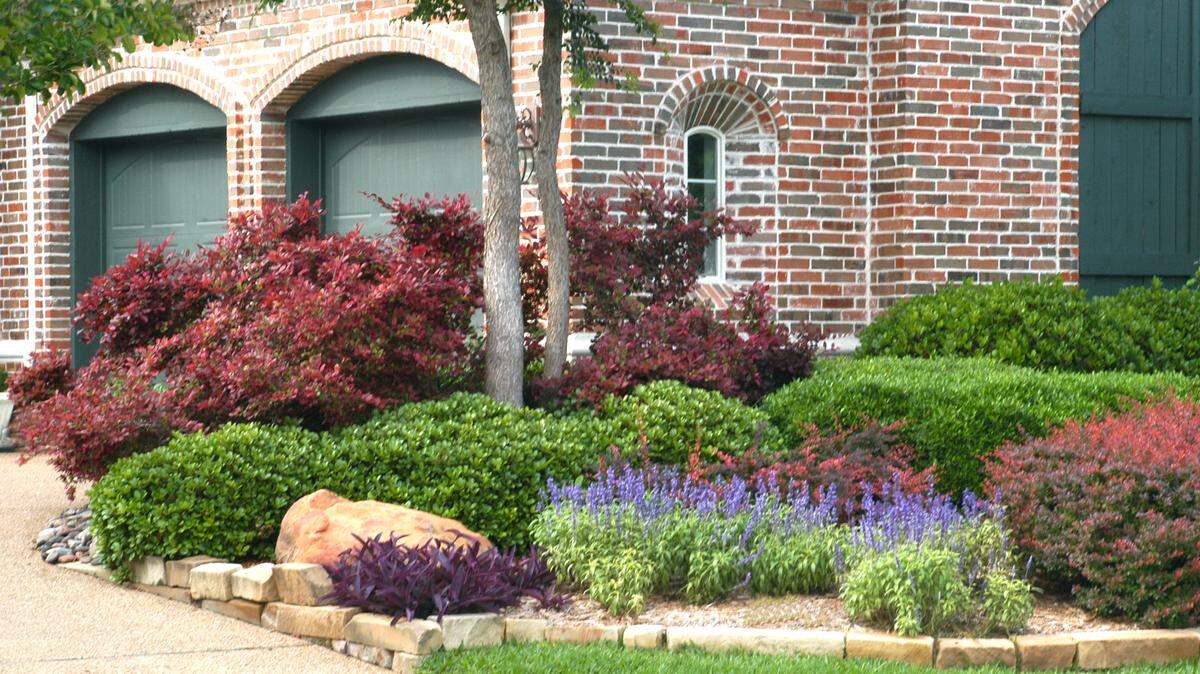 Choose plants that are well adapted to your environment for a lovely North Texas landscape.