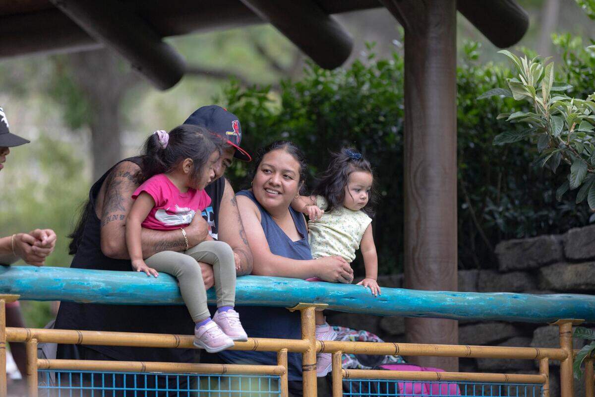 A family watches the elephants play at the Fort Worth Zoo on June 8, 2022.