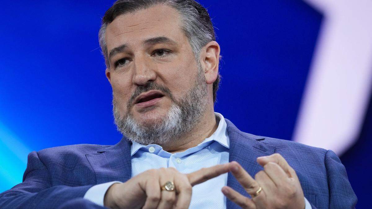 Sen. Ted Cruz speaking during the Conservative Political Action Conference in March. (Jack Gruber-USA TODAY)