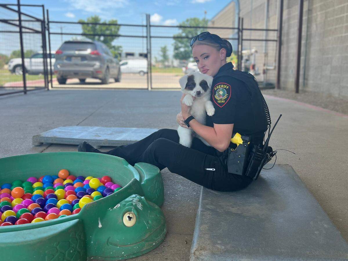 Tarrant Sheriff’s office deputy Haley Drew was reunited on Thursday June 27, 2024 with eight puppies she and her colleague rescued on Sunday.