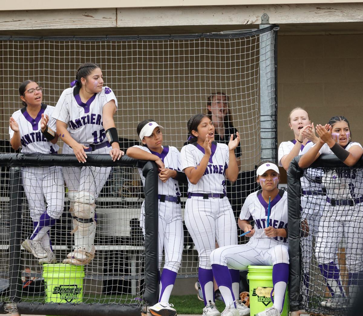The Paschal Panthers encourage a team mate at bat during a UIL District 6A Region 1 Bi-district softball playoff game at Saginaw High School in Saginaw, Texas, Thursday, April 25, 2024. Paschal defeated Keller 3-2. (Special to the Star-Telegram/Bob Booth)