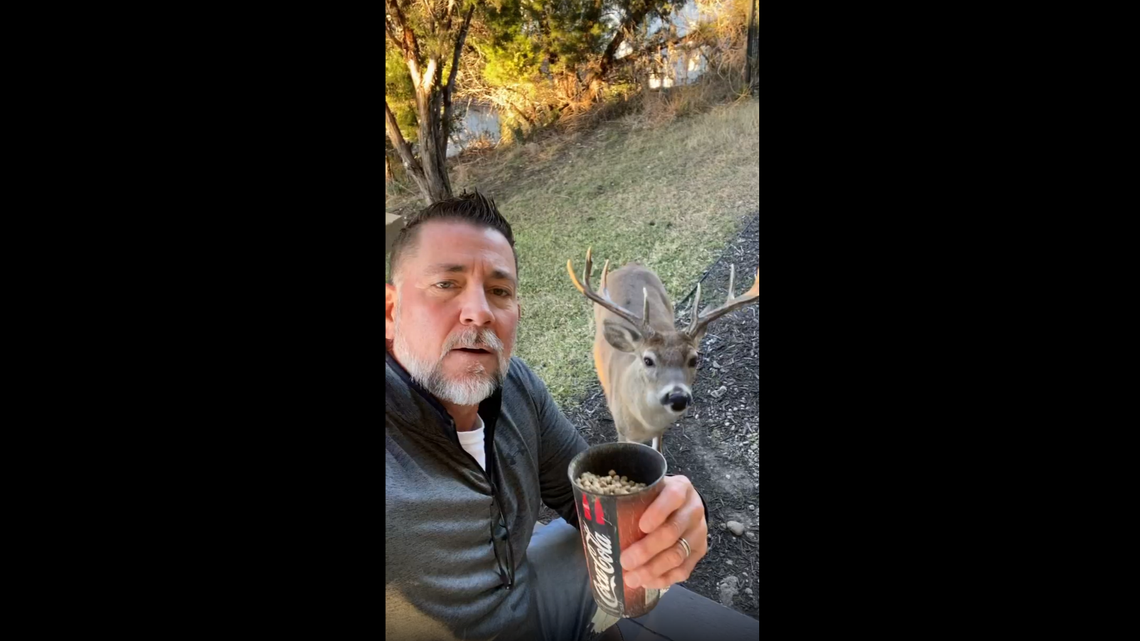 The “Deer Whisperer” has racked up millions of followers on TikTok.