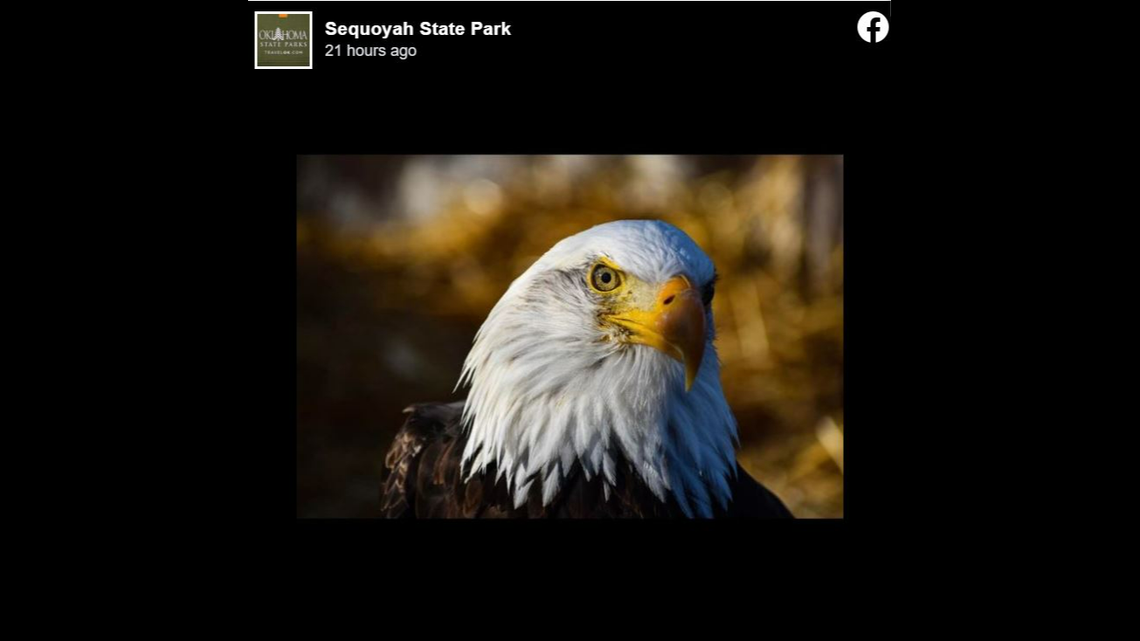 “Taurus was resilient much like his species,” the park said.