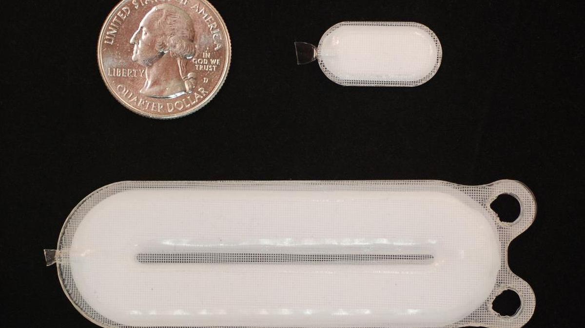 This photo shows the Encaptra delivery system, placed next to a quarter to give a size perspective. It contains precursor pancreatic cells that are implanted under the skin and mature into insulin-producing cells.