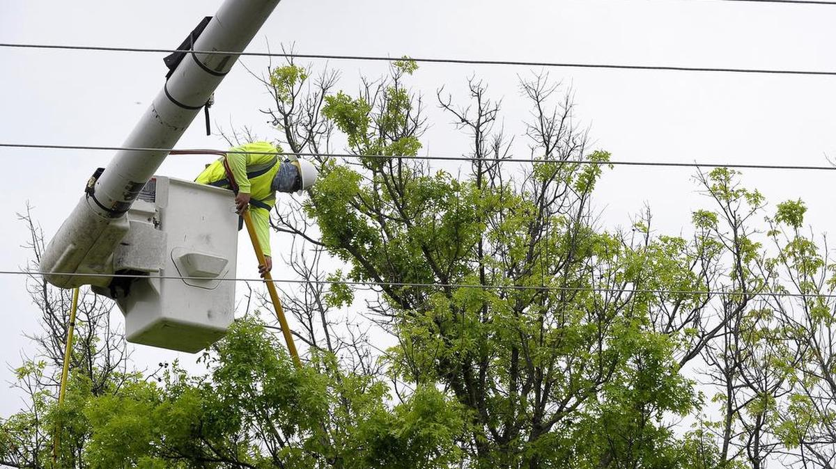 Oncor Electric Delivery maintains the power lines in North Texas.